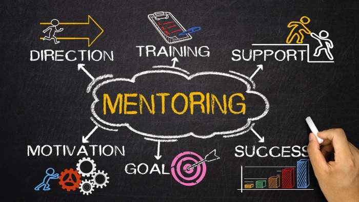 Money mentorship programs for young professionals